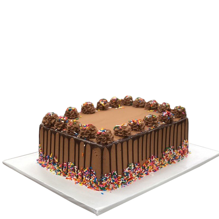 Jennifer's chocolate sheet cake with sprinkles and drip icing