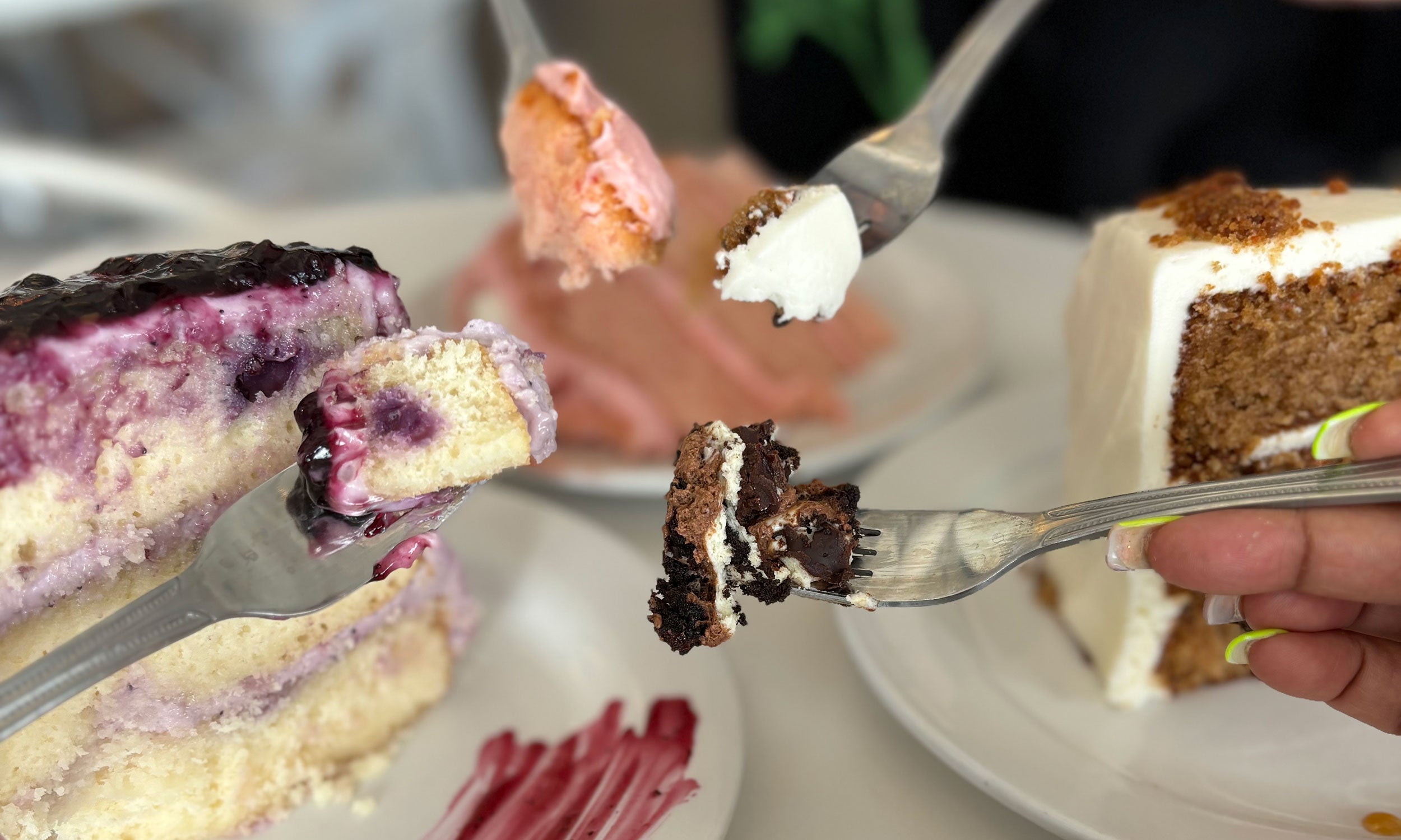 Forks lifting bites of blueberry and chocolate cake layers