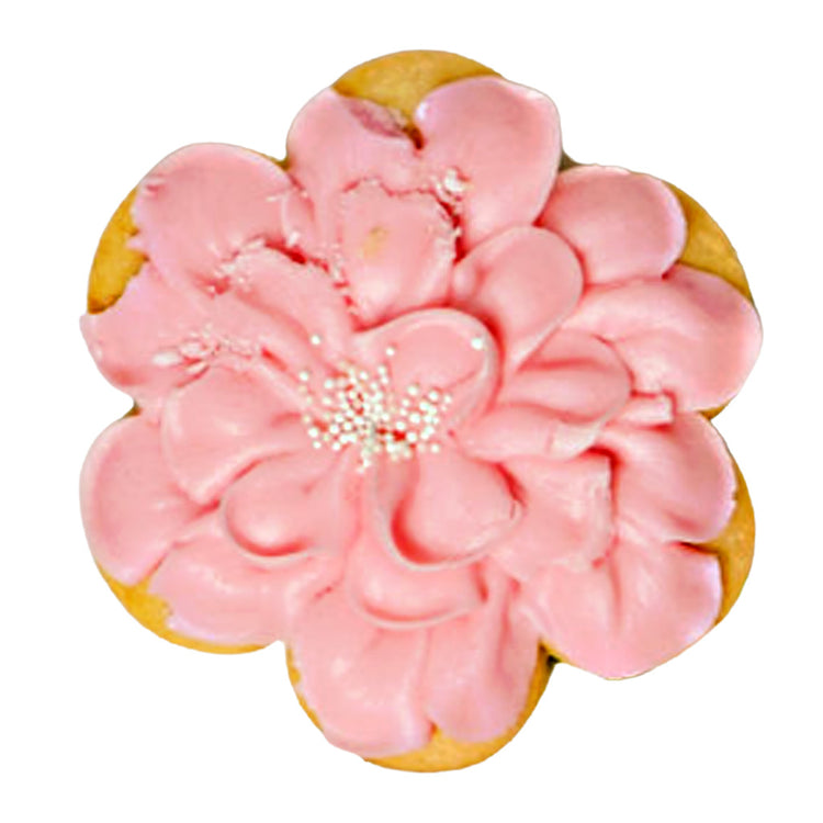 Easter butter cookie shaped like a pink frosted flower.